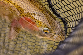 Fishing in Casper Wyoming