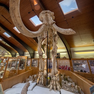 Tate Geological Museum