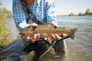 Fishing the Grey Reef