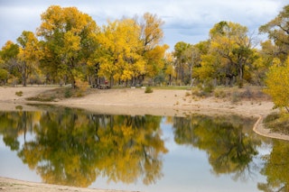 Edness Kimball Wilkins State Park