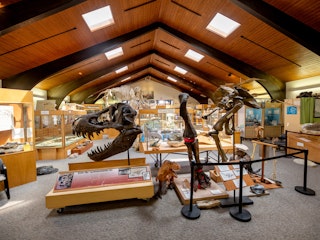 Tate Geological Museum in Casper features many dinosaur fossils for public viewing.