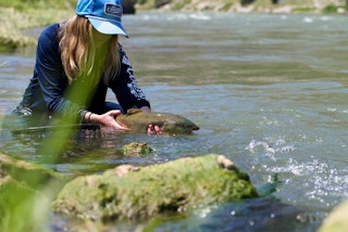 A woman holding a fish in the water