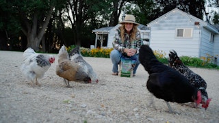 Cathy feeding chickens at the Bloomery