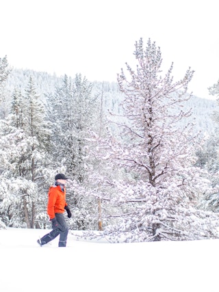 Snowshoeing on Casper Mountain