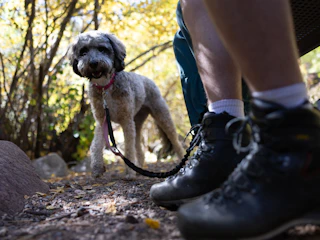Hiking on Casper Mountain at Rotary Park and Garden Creek Falls