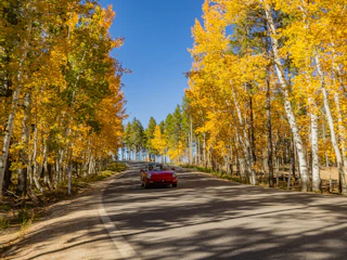 Scenic Drive on Casper Mountain