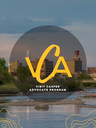 VCA Workshop Info Page